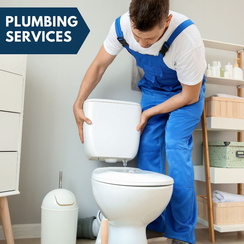 Plumbing Company in Pleasant Plains, AR